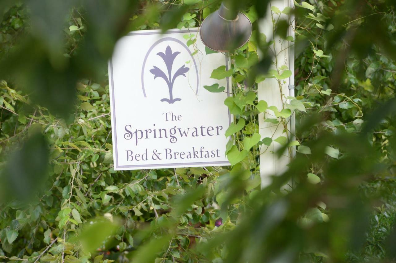 The Springwater Bed And Breakfast Саратога-Спрингс Экстерьер фото